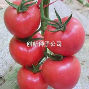 万园三号