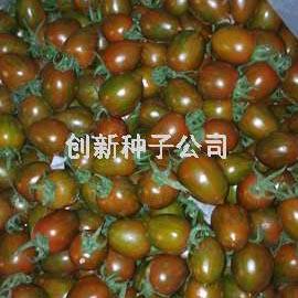 万紫千红