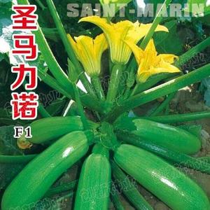 圣马力诺F1
