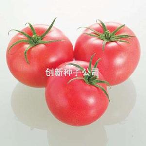 欧宝二号